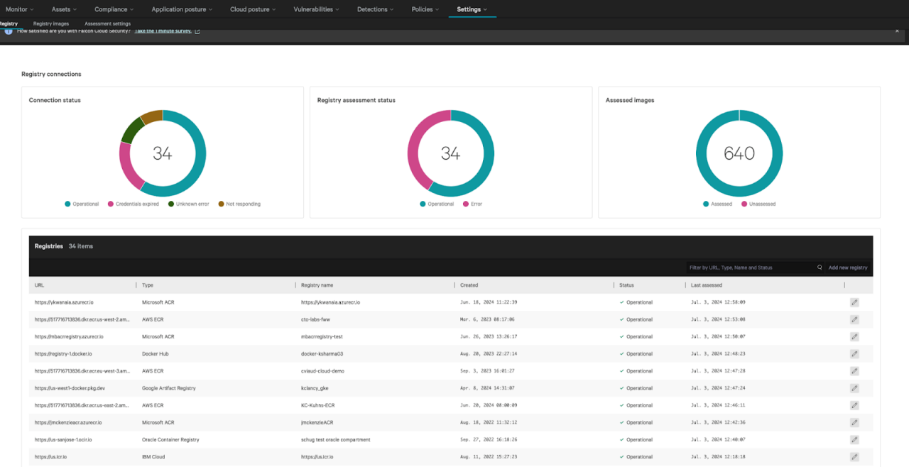 Figure 1. Scanned registry list in Falcon Cloud Security