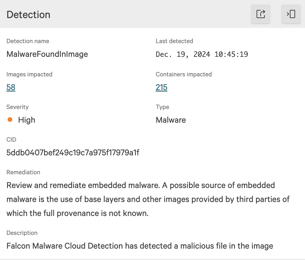 Figure 1. A Falcon Cloud Security pre-runtime detection for a suspicious file found in a container image. 